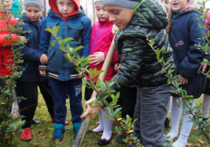 Chłopiec zakopuje dołek.