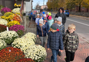 Grupa dzieci trzymająca się za ręce idzie po chodniku wraz z paniami wychowawczyniami koło chryzantem
