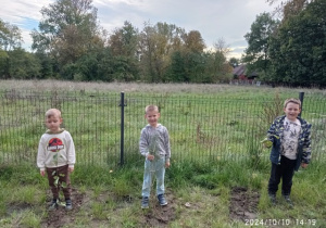 Trzej chłopcy prezentujący posadzone drzewka