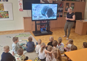 Przedszkolaki siedzące na dywanie i oglądające zdjęcie kreta wyświetlone na tablicy multimedialnej przez nauczycielkę.