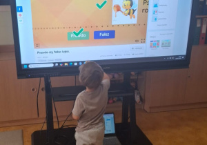 Chłopiec rozwiązujący na tablicy multimedialnej quiz o łące.