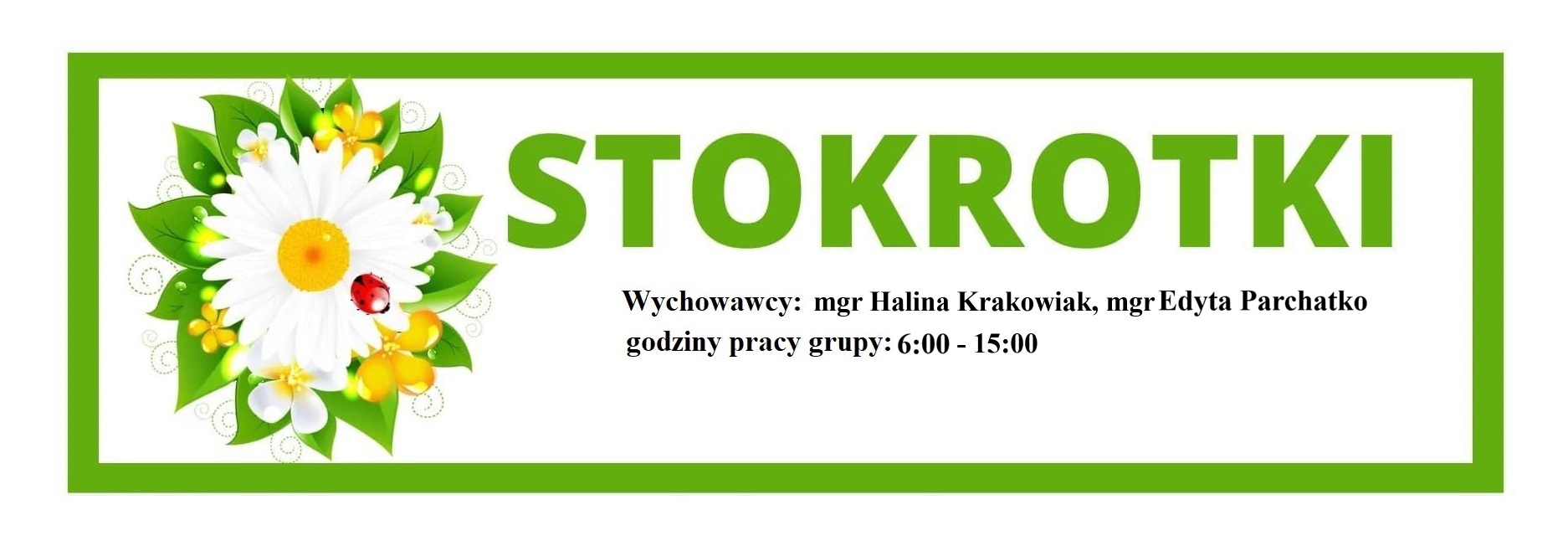 Stokrotki