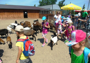Dzieci bawiące się w zagrodzie ze zwierzętami