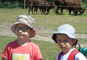 Dwóch chłopców w czapkach za nimi zwierzęta