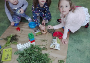 Dziewczynki siedzą na podłodze i wybierają materiał przyrodniczy.