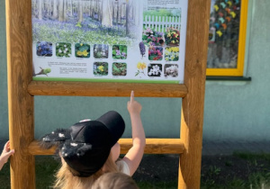 Dzieci oglądają tablicę demonstracyjną przedstawiającą kwiaty na wiosnę.