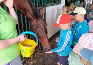 Chłopiec karmi konia obok stoi pani i grupa dzieci.