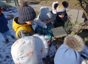 Aktywne ferie w Przedszkolu Samorządowym w Gorzkowicach