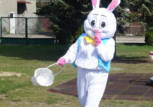 Zdjęcie 58 na 180