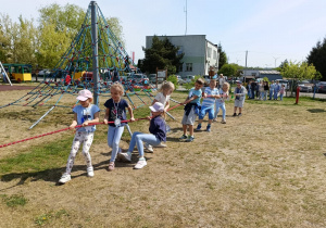 Zdjęcie 17 na 117