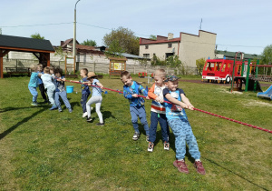 Zdjęcie 81 na 117