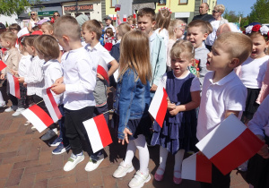 Zdjęcie 41 na 50