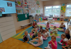 Zdjęcie 15 na 15