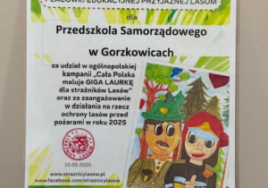Zdjęcie 11 na 11
