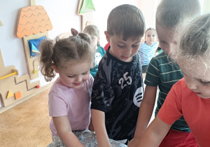Zdjęcie 16 na 39