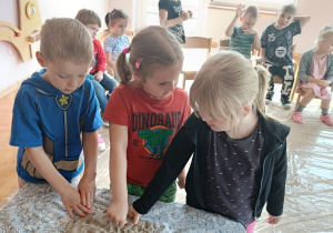 Zdjęcie 25 na 39