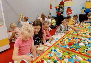 Zdjęcie 21 na 114
