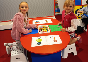 Zdjęcie 43 na 114