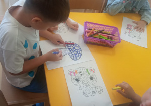 Zdjęcie 42 na 66