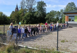 Zdjęcie 2 na 11