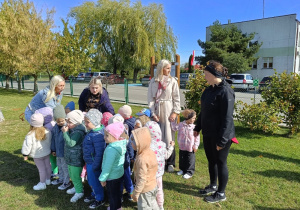 Zdjęcie 3 na 11
