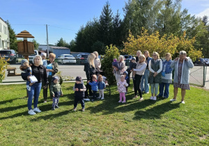 Zdjęcie 6 na 11