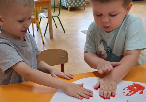 Zdjęcie 12 na 30
