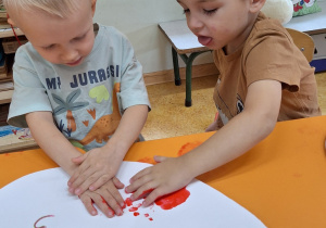 Zdjęcie 13 na 30