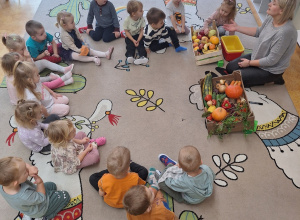 Jesień w sadzie i w ogrodzie – realizacja zajęć w grupie Krasnoludki.
