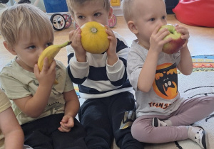 Zdjęcie 5 na 37