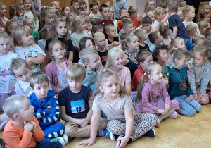 Zdjęcie 17 na 27
