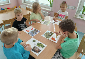 Zdjęcie 46 na 63