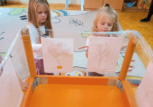 Zdjęcie 17 na 63