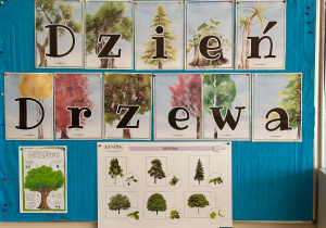 Zdjęcie 31 na 63