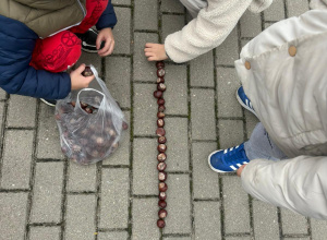 Matematyka w plenerze realizacja zajęć w grupie „Stokrotki”.