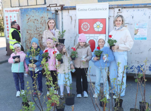 Akcja "Drzewko za makulaturę"