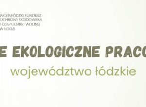 Wielka radość - tworzymy ekologiczną pracownię pod chmurką!
