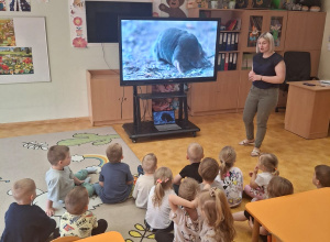 „Majowa łąka” zajęcia w grupie Krasnali z użyciem multimediów w Przedszkolu Samorządowym w Gorzkowicach.